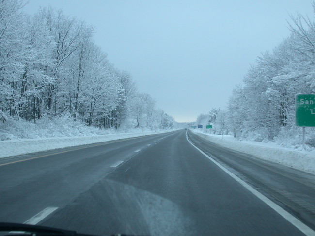 Driving south through a snowy treescape