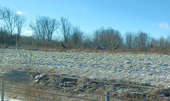 Big Black Crows on US I-81