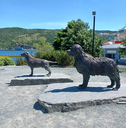 Just one of the statues of the newfoundlad dog breed - parent breed to the labrador see behind the newf