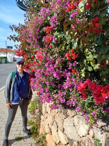 Morning walk to Albufeira.