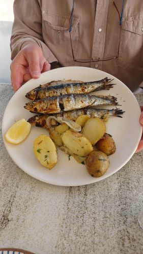 Fresh grilled Sardines in Albufeira Portugal.