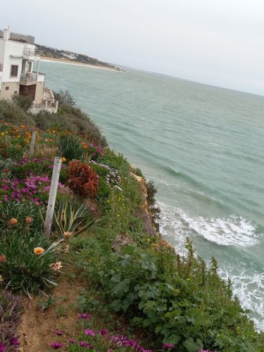 Flower garden Albufeira Marina